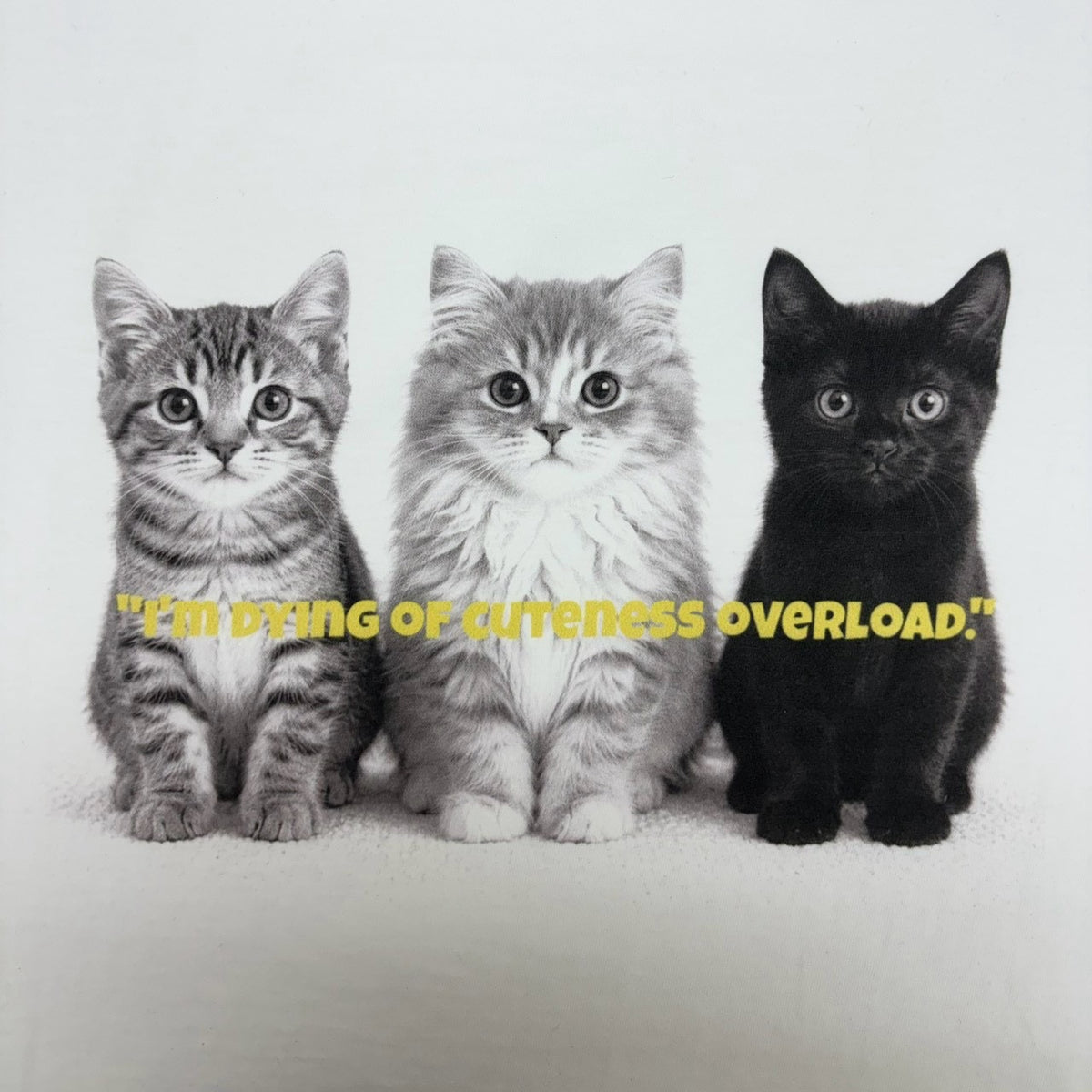 【siro de la bonte| '27 Spring Collection】soft cotton dog or cat Tshirt(レディースサイズ) R713224/3月下旬から4月中旬発送予定