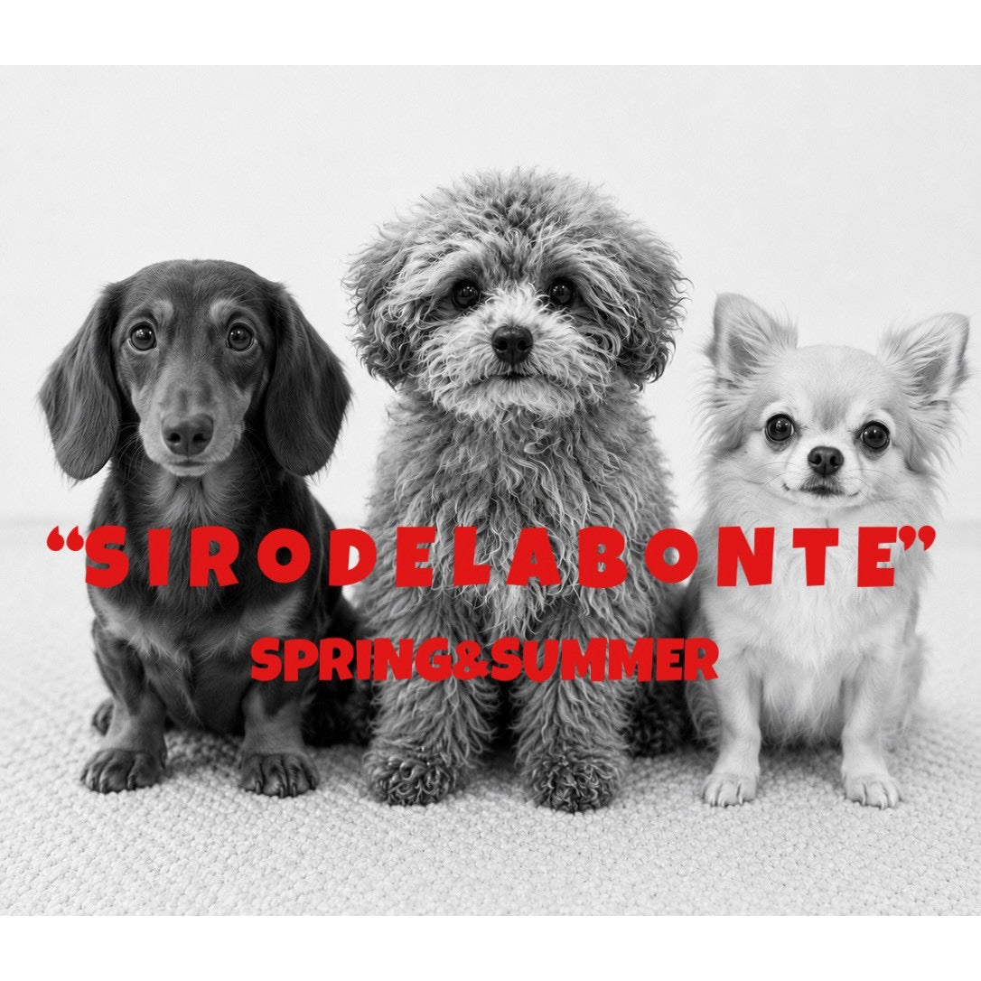 【siro de la bonte| '27 Spring Collection】soft cotton dog or cat Tshirt(レディースサイズ） R713224／３月下旬から４月中旬発送予定
